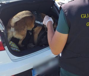 blablacar guardia civil albacete