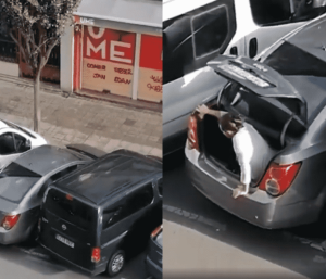 multa aparcamiento coche