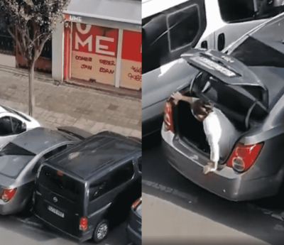 multa aparcamiento coche