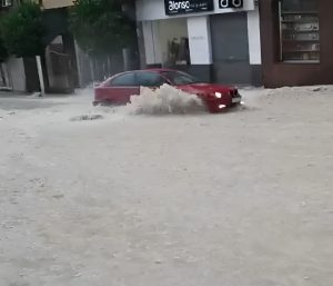 BMW Molina de Segura viral