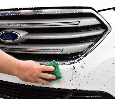 quitar mosquitos coche