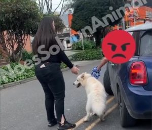 Hombre arrastra a su perro