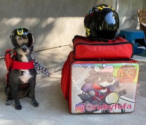 Ruby, la perra motera repartidora