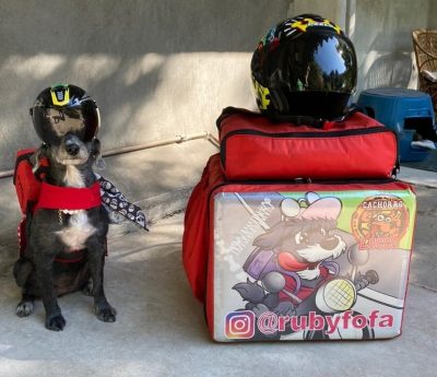 Ruby, la perra motera repartidora