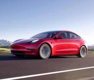 tesla problema puertas