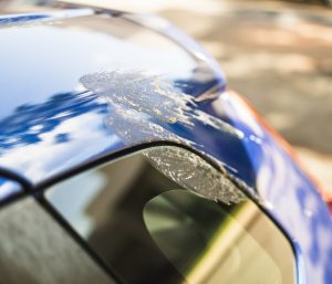 excremento caca coche