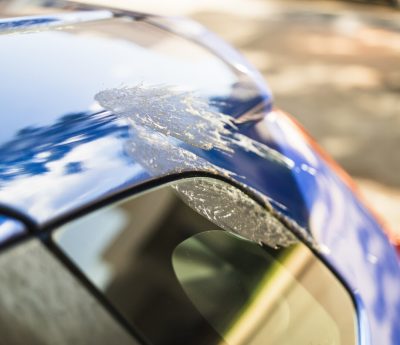 excremento caca coche