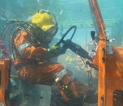 El cangrejo de barro