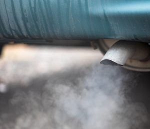 cocontaminación ciudades