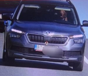 Pillan a un perro conduciendo con exceso de velocidad