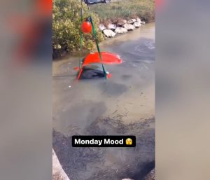 Porsche pasado por agua