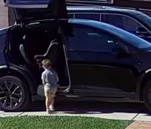 Tesla alas de gaviota