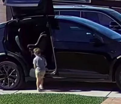 Tesla alas de gaviota