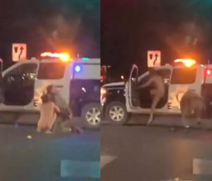 Desnudo y por las vegas