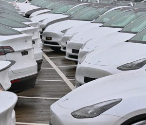 problemas tesla autopilot