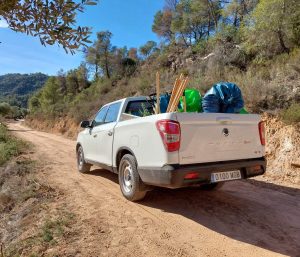 SsangYong Forest Bank