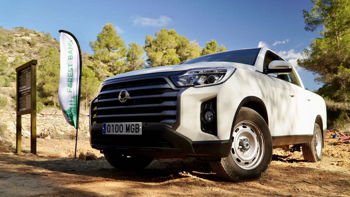 SsangYong Forest Bank