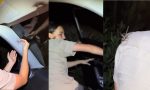 Una enorme tarántula dentro del coche: la impresionante reacción de la conductora