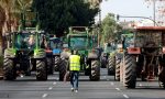 Protestas de los agricultores: el mapa de la DGT donde conocer en directo los cortes de carretera de las tractoradas