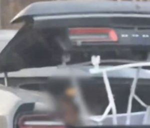 Menor-en-el-maletero