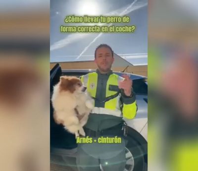 Perro guardia civil