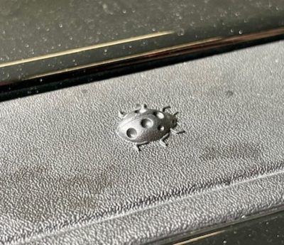 Uno de los huevos de pascua del Jeep Avenger