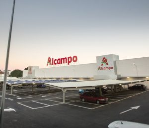 limpiar coche alcampo