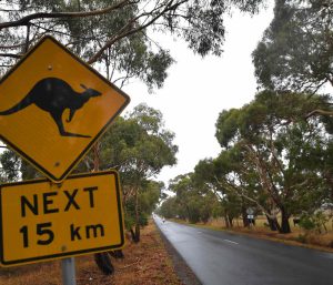 ayudas carnet australia