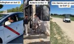 Bellingham va a entrenarse en taxi, Bellerín en bici y otro en carrito de golf: el ‘tiktoker’ que persigue a los futbolistas