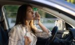 Ola de calor en España: con este truco japonés conseguirás bajar la temperatura del coche 10 grados en 10 segundos