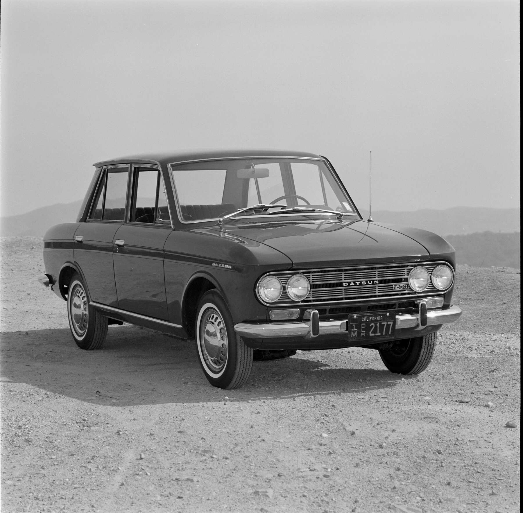 Nombres pájaros coches