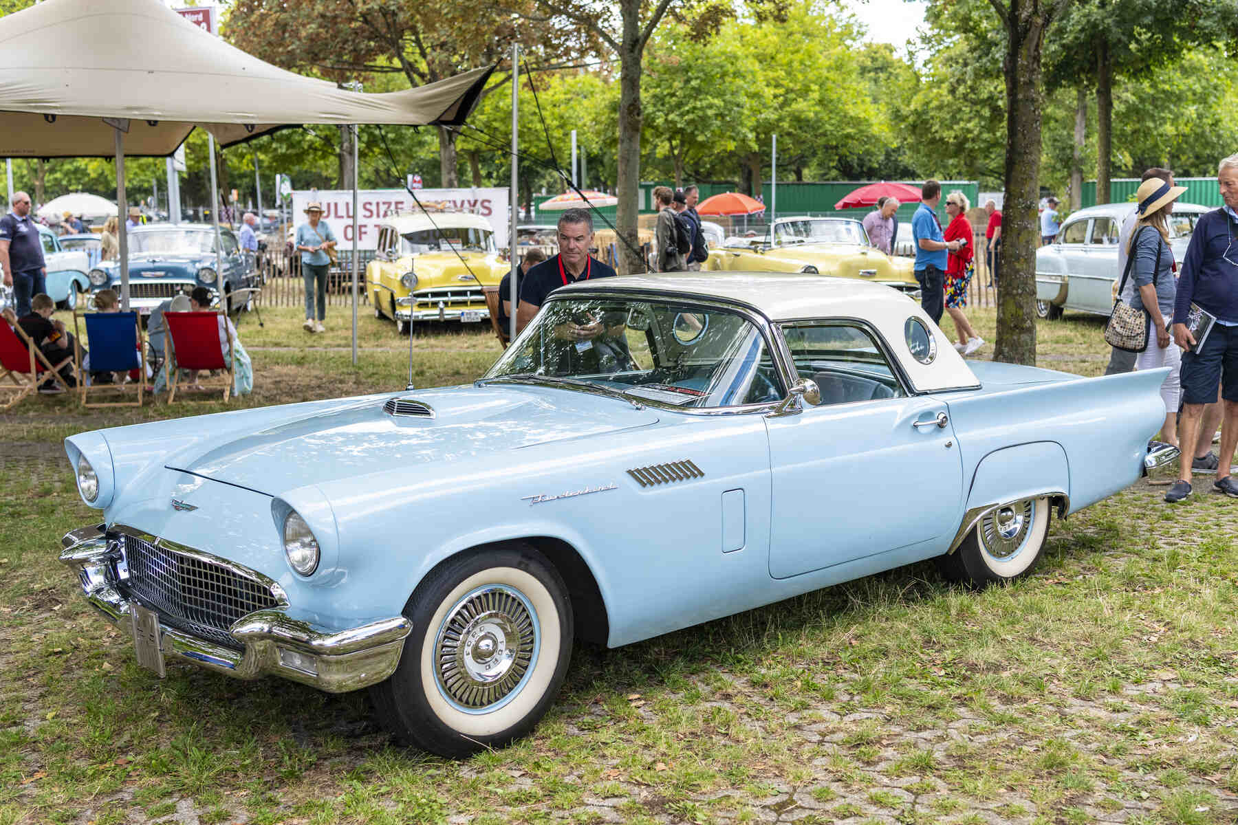 Nombres pájaros coches