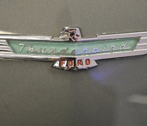 Nombres pájaros coches