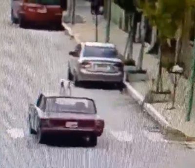 Perro en el techo de un coche