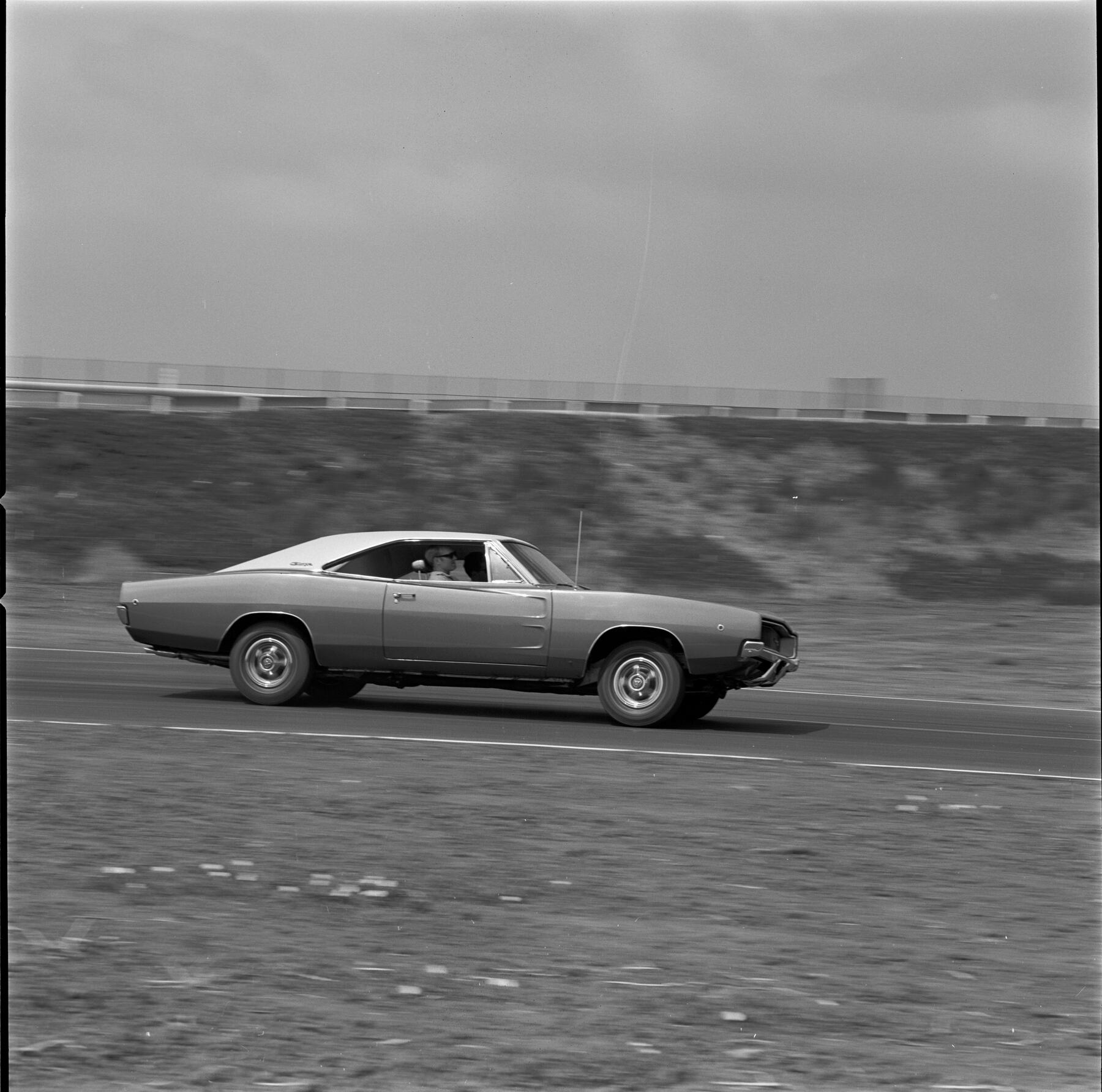 Nombres pájaros coches