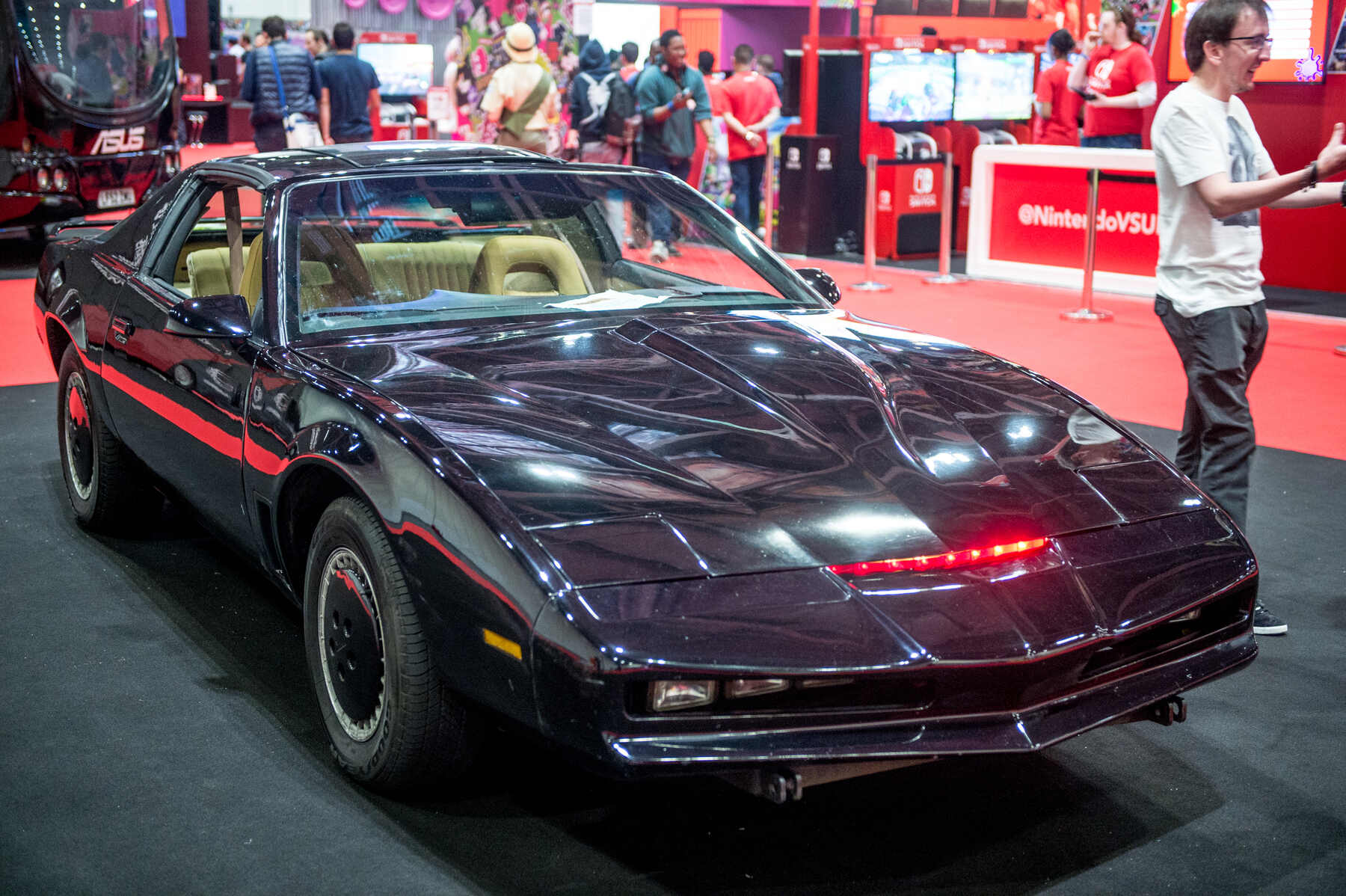 Nombres pájaros coches