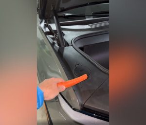 Prueba de la zanahoria