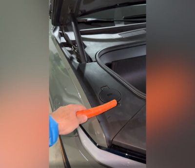 Prueba de la zanahoria