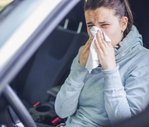 alergia en el coche