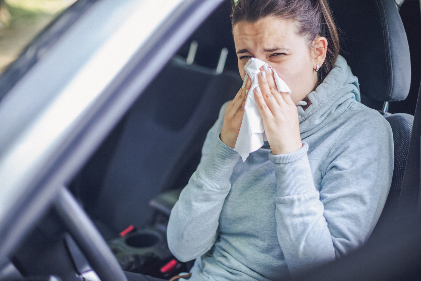 alergia en el coche