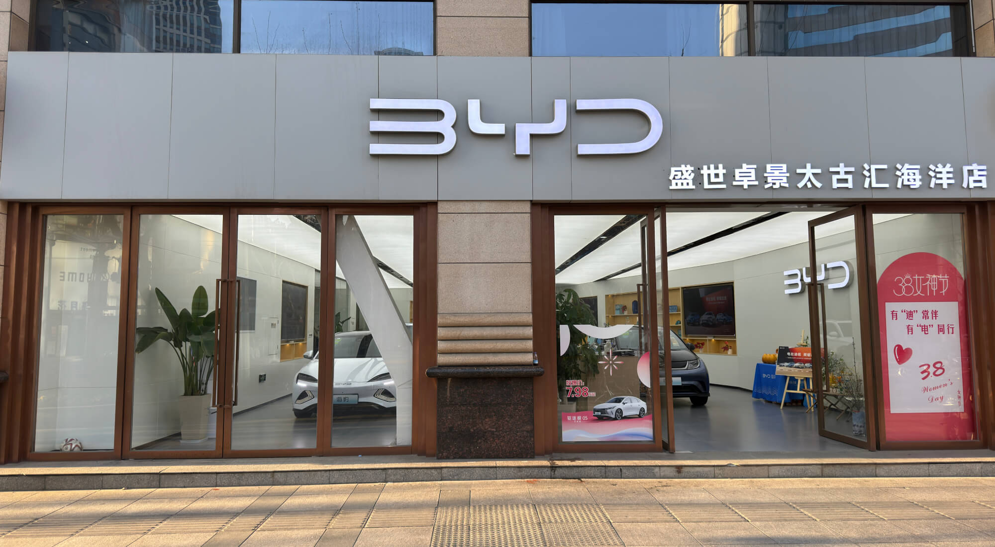 llamada a revisión BYD