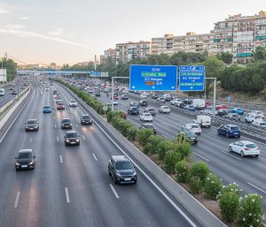 adelfas carretera españa
