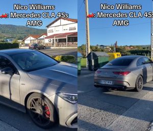 nico williams coche