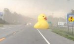 La moda de los patos de goma que aparecen en los coches llega a las carreteras