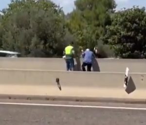 anciano cruza autovia