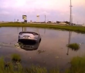 Jonquetta coche estanque