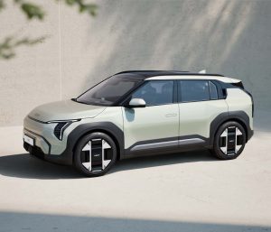 coches eléctricos menos 30.000 euros