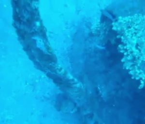 Fiat Bombardiere Rosatelli