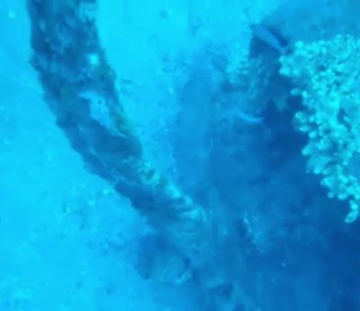 Fiat Bombardiere Rosatelli