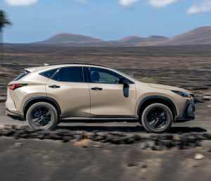 lexus nx overtrail
